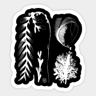 Botanical Seaweed Kelp Sticker